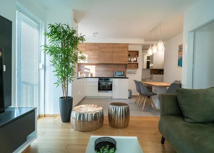 Apartment Wing 77 By Belmont Realty